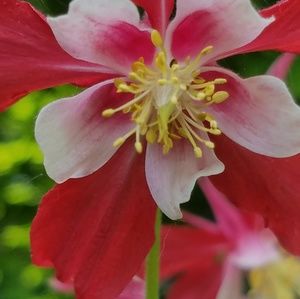 Meet your Posher, Teri